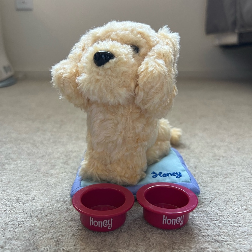 American girl,dog Honey